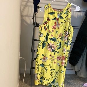 Loft Dress